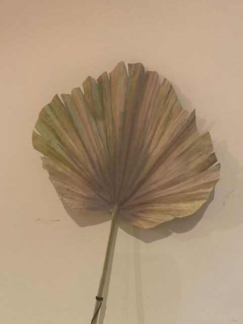 Fan Palm - Green Brown