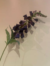 Load image into Gallery viewer, Foxglove Voilet Stem
