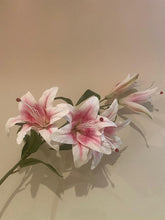 Load image into Gallery viewer, Pink Lilium Stem Large
