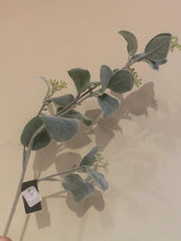 Load image into Gallery viewer, Oregano Leaf - Grey Green
