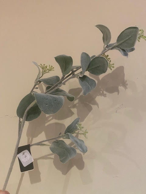 Oregano Leaf - Grey Green