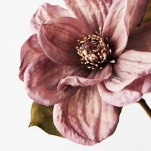 Load image into Gallery viewer, Magnolia Dusty Mauve
